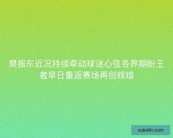 樊振东近况持续牵动球迷心弦各界期盼王者早日重返赛场再创辉煌