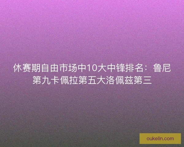 休赛期自由市场中10大中锋排名：鲁尼第九卡佩拉第五大洛佩兹第三